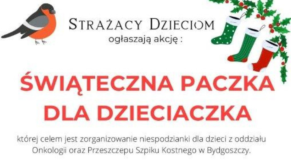 Strażacy z gorącymi sercami. W powiecie chojnickim trwa akcja gromadzenia prezentów dla dzieci z onkologii