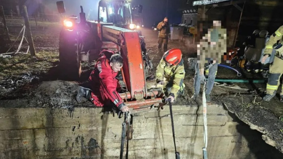 Strażacy uratowali konia, kt&oacute;ry wpadł do szamba w Zabartowie, w gminie Więcbork. Zwierzęciu nic się nie stało (FOTO)