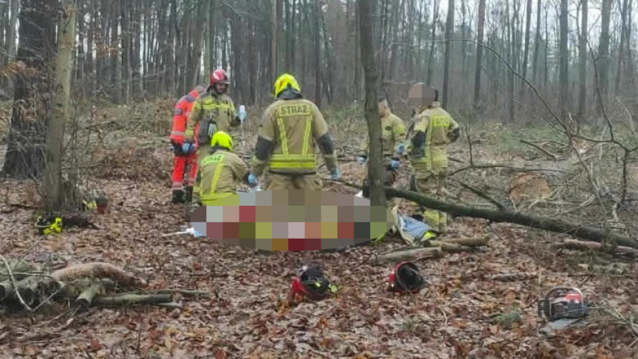 Śmiertelny wypadek podczas prac leśnych w gminie Więcbork. Nie żyje 58-letni mieszkaniec powiatu tucholskiego