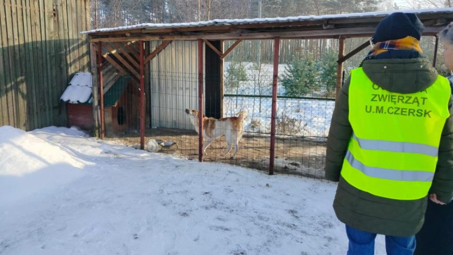 Urzędnicy czerskiego ratusza kontrolują warunki utrzymania psów. Chodzi o uświadamianie i zimową prewencję