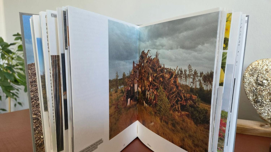 W poniedziałek 16.03 spotkanie z autorką książki Brak lasu Martyną Miller. To spojrzenie na region po nawałnicy