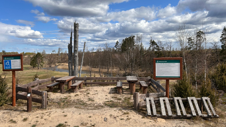 W lasach regionu trwa akcja Majówka 26. Leśnicy i służby pilnują bezpiecznej turystyki
