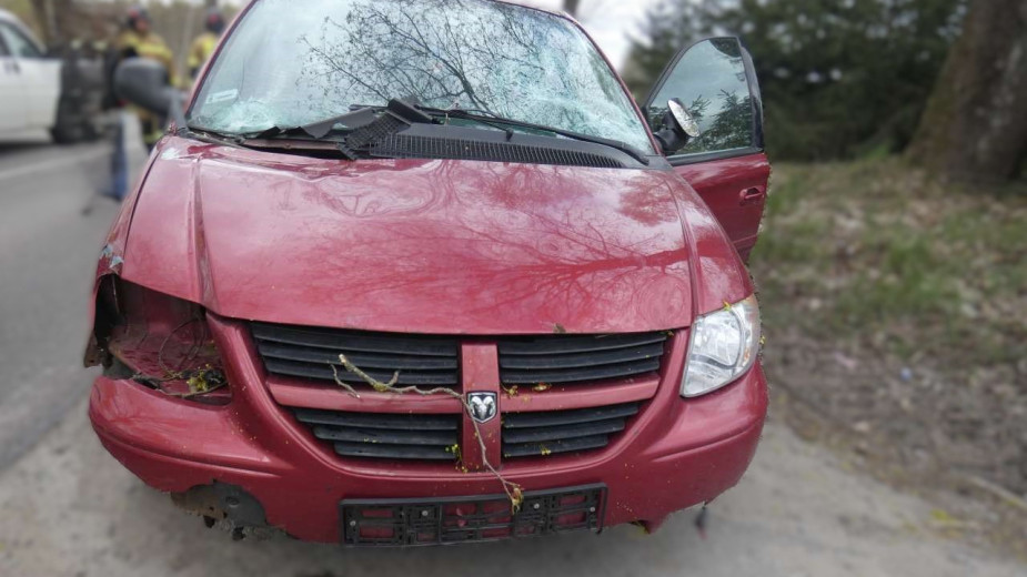 Na jadący samochód spadła gałąź, złamana przez silny wiatr. Do  niebezpiecznego zdarzenia doszło w Grabówku w gminie Nowa Karczma
