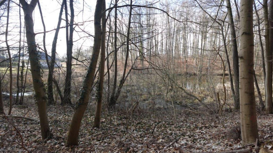 W Sępólnie Krajeńskim wkrótce mają się rozpocząć się prace związane z zagospodarowaniem lasku miejskiego