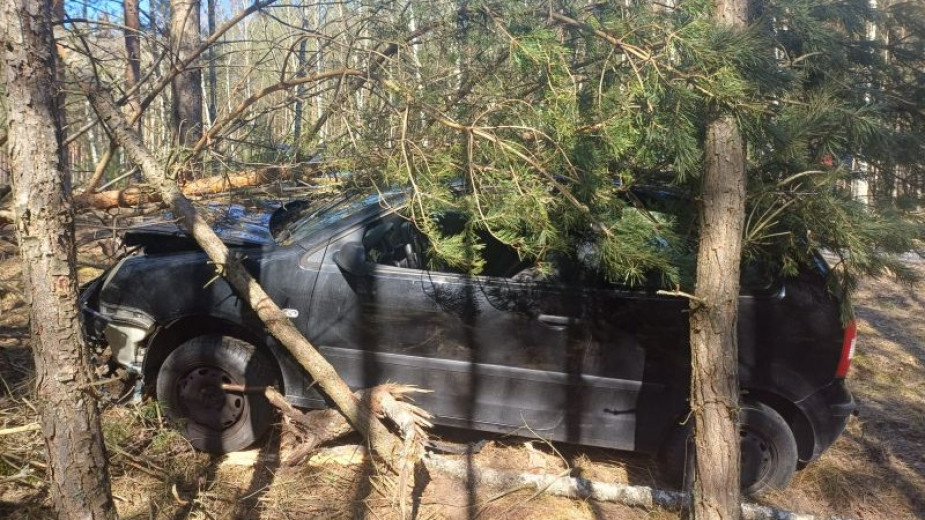 Sam zadzwonił na policję, choć wjechał w drzewo po pijanemu i bez uprawnień