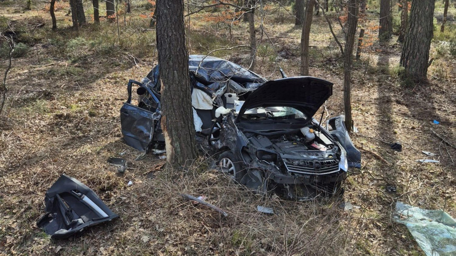 Wypadek w gminie Lubiewo. Auto uderzyło w drzewo w pobliżu Lubiewic