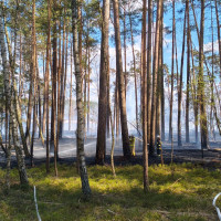   | Pożar na terenie Parku Narodowego "Bory Tucholskie". Żywioł już się nie rozprzestrzenia (WIDEO)