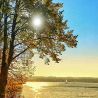   | Opowiem Ci historię, odcinek 215. Charzykowy w średniowieczu