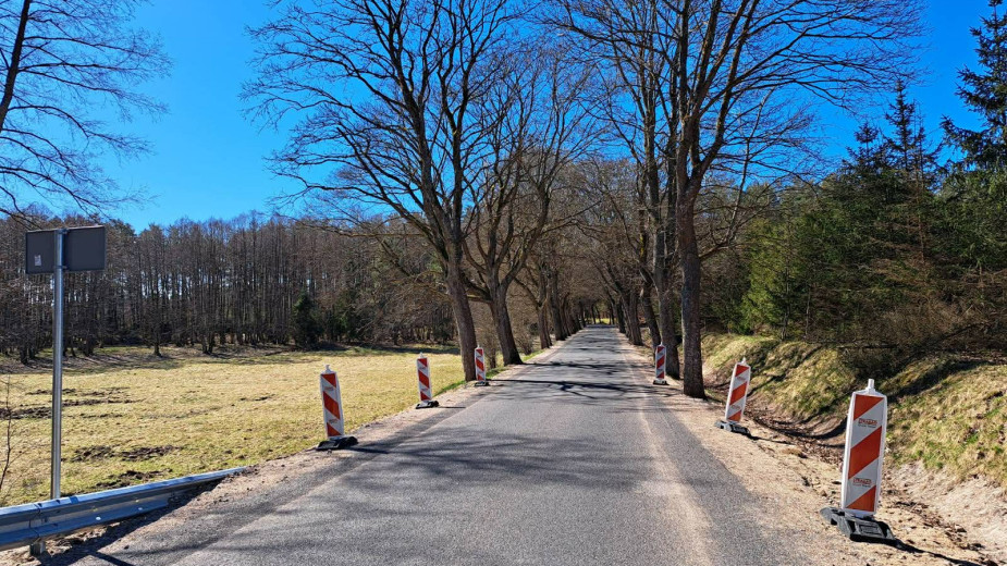 Ministerstwo Kultury i Dziedzictwa Narodowego zajmie się sprawą planowanej wycinki drzew przy drodze Kołczygłowy-Poborowo