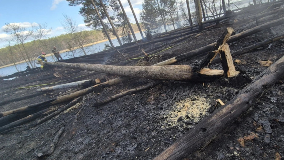 To nieostrożność turystów doprowadziła do pożaru w Parku Narodowym Bory Tucholskie. Dyrekcja apeluje o rozsądek