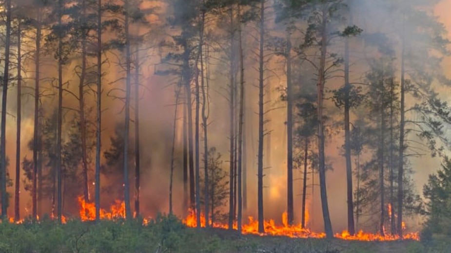 Blisko 7 hektarów lasu spłonęło we wczorajszym pożarze w gminie Parchowo, na terenie Nadleśnictwa Lipusz FOTO, WIDEO