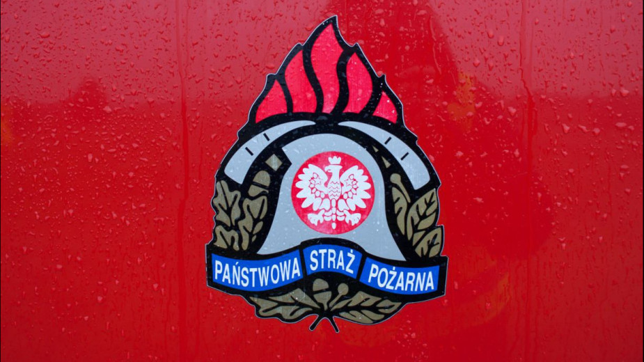 Nocny pożar lasu w Rybakach pod Kościerzyną. Na razie nie wiadomo, co było przyczyną zdarzenia