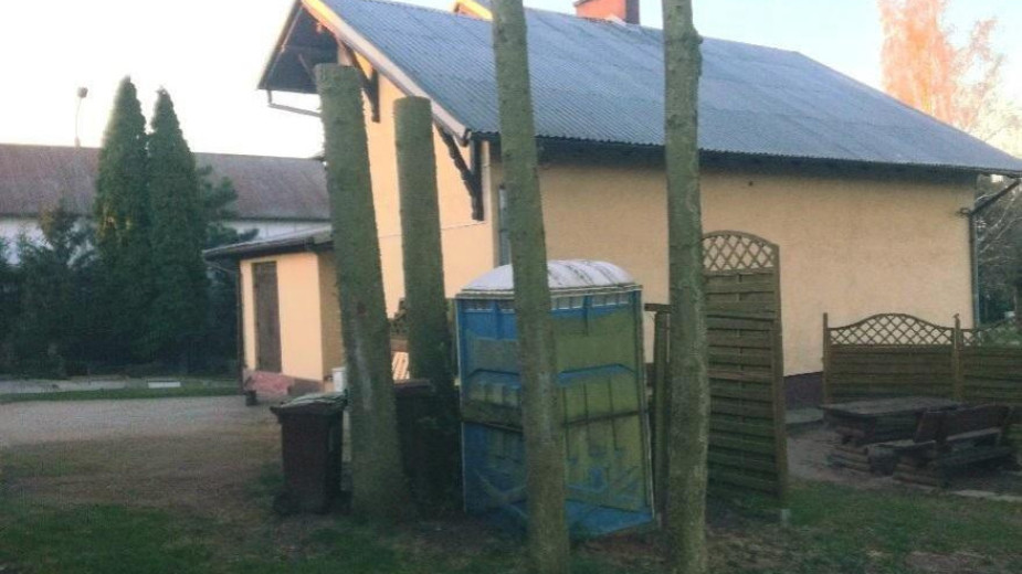 Słuchacz z Silna alarmuje w sprawie świerków przy remizie. Po skróceniu zostały kikuty