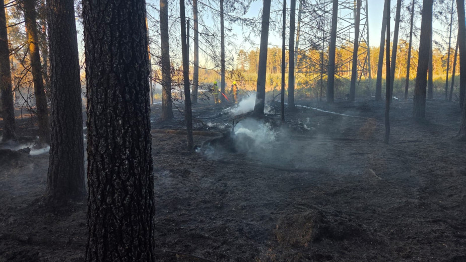 Pożar lasu w okolicach Sylczna, w gminie Parchowo. Z ogniem walczyło 25 zastępów straży pożarnej i dwa samoloty gaśnicze FOTO