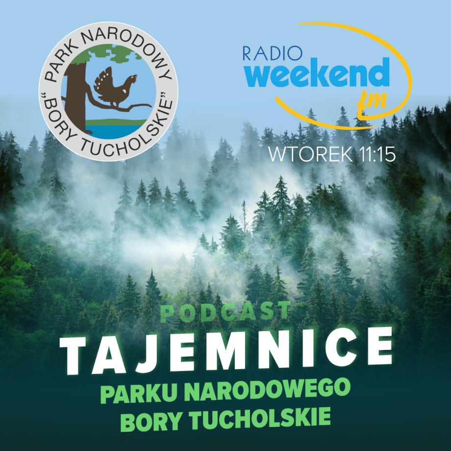 Tajemnice Parku Narodowego Bory Tucholskie