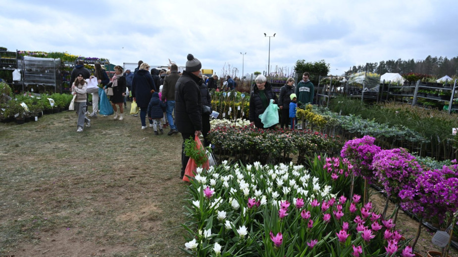 W ten weekend w Lubaniu, w gminie Nowa Karczma, odbędą się XVI Targi Ogrodniczo-Pszczelarskie