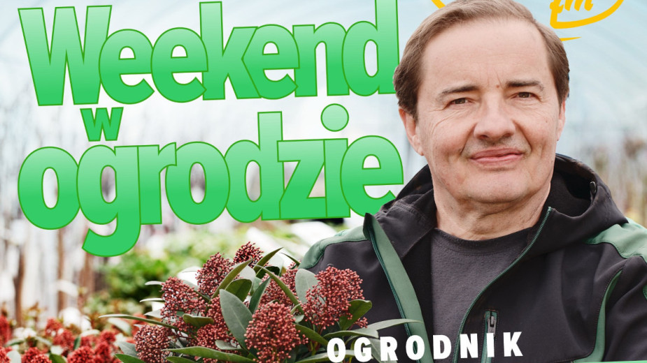 Weekend w ogrodzie, odcinek 5. Co i kiedy siać oraz sadzić na grządkach podwyższonych? 