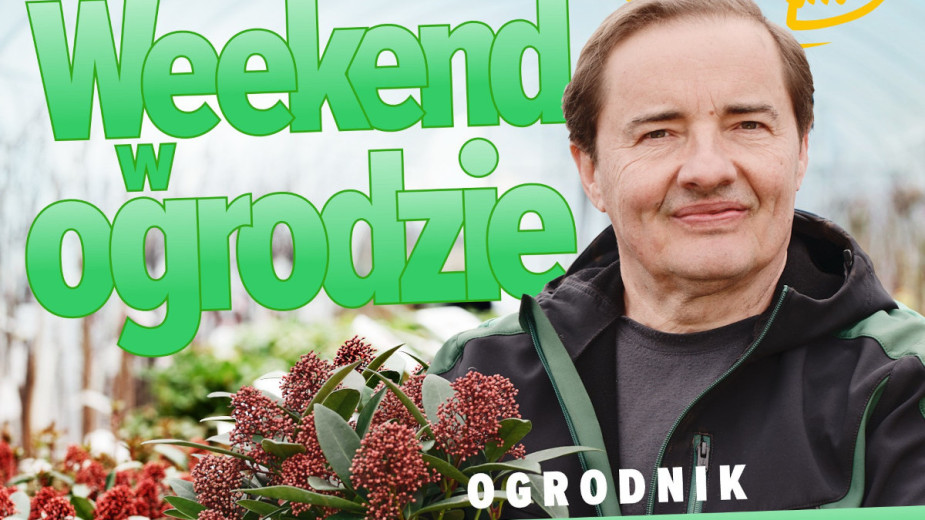 Weekend w ogrodzie, odcinek 3. Truskawki