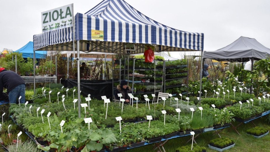 Już w ten weekend w Lubaniu, w gminie Nowa Karczma, odbędą się XVI Targi Ogrodniczo-Pszczelarskie