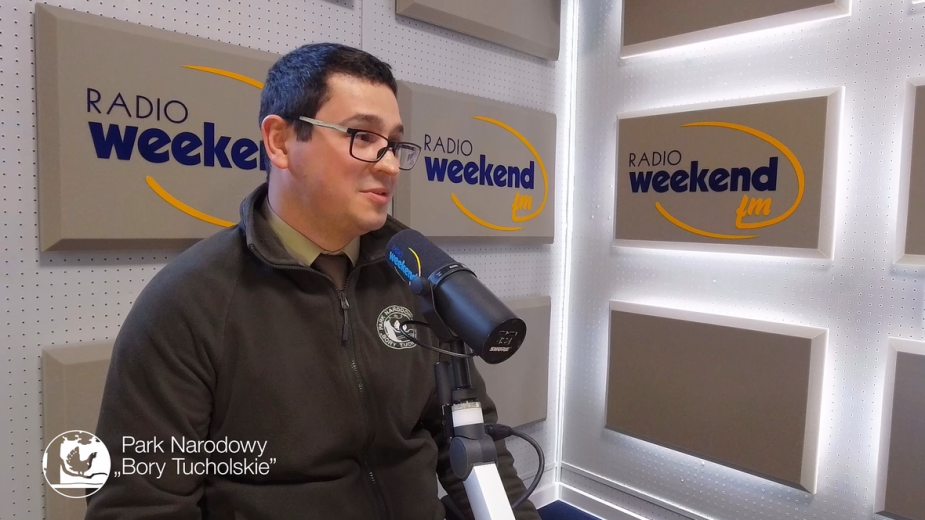 Tajemnice Parku Narodowego Bory Tucholskie. Odcinek 1 Czy zawsze rosła tu sosna? VIDEO PODCAST