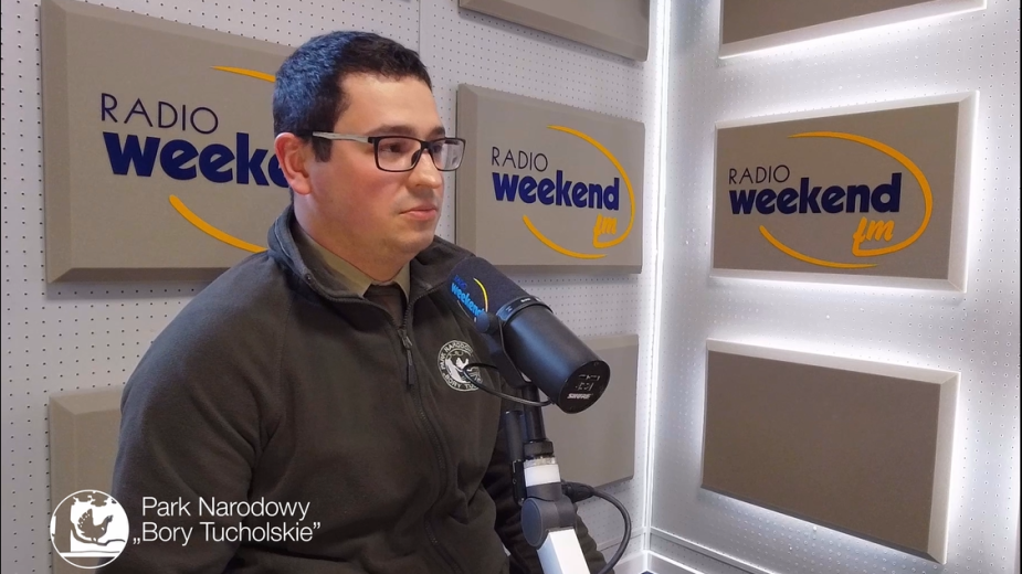 Tajemnice Parku Narodowego Bory Tucholskie. Odcinek 3 Bory świeże - najczęstsze siedlisko leśne i to nie tylko w Parku Narodowym Bory Tucholskie WIDEO PODCAST