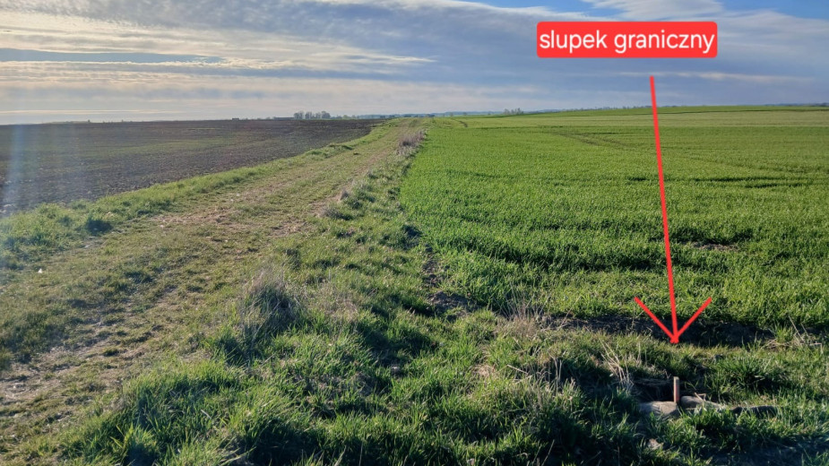 Rolnicy poszerzają swoje pola kosztem drogi, a gmina Chojnice nic z tym faktem nie robi - uważa słuchacz z Silna FOTO