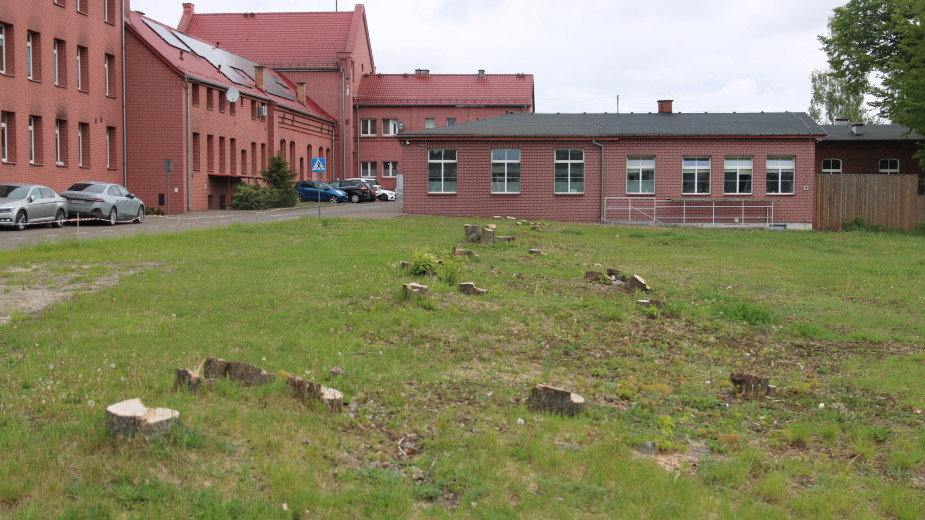 Starosta człuchowski tłumaczy wycinkę drzew przy szpitalu w Człuchowie i siedzibie WOPR w Ględowie