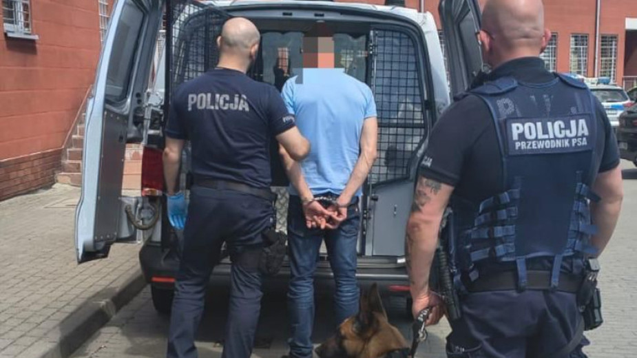 Psi nos nie zawiódł. Przewodnik psa służbowego wraz z czworonogiem zatrzymali w Człuchowie poszukiwanego
