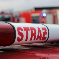   | Ogromne straty po nocnym pożarze gołębnika w Czersku. Spłonęła większość z 500 gołębi rzadkich ras