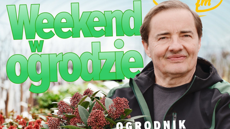 Weekend w ogrodzie, odcinek 6. Jakie odmiany pomidorów wybrać do ogrodu?