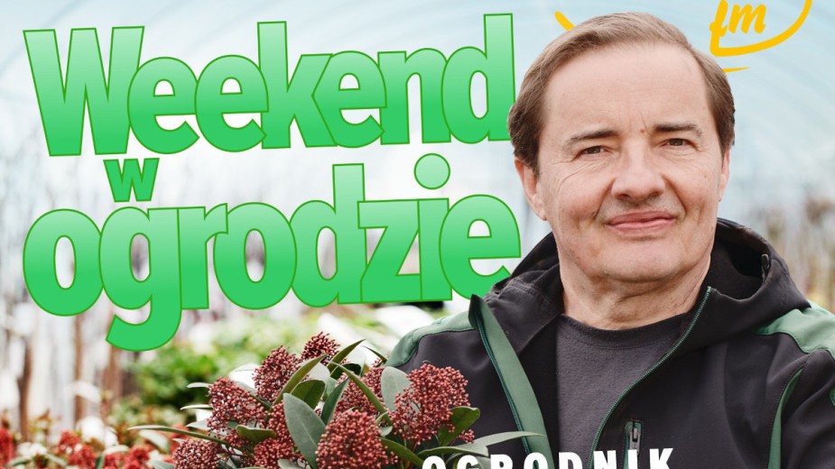 Weekend w ogrodzie, odcinek 7. Borówka amerykańska