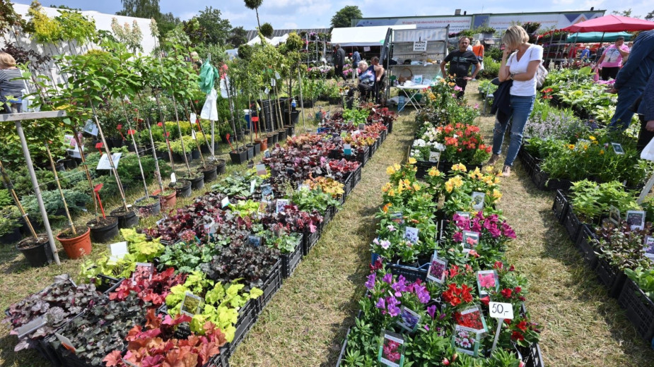 W Lubaniu, w gminie Nowa Karczma, odbędą się w ten weekend (13-14.06.) 33. Pomorskie Agro Targi