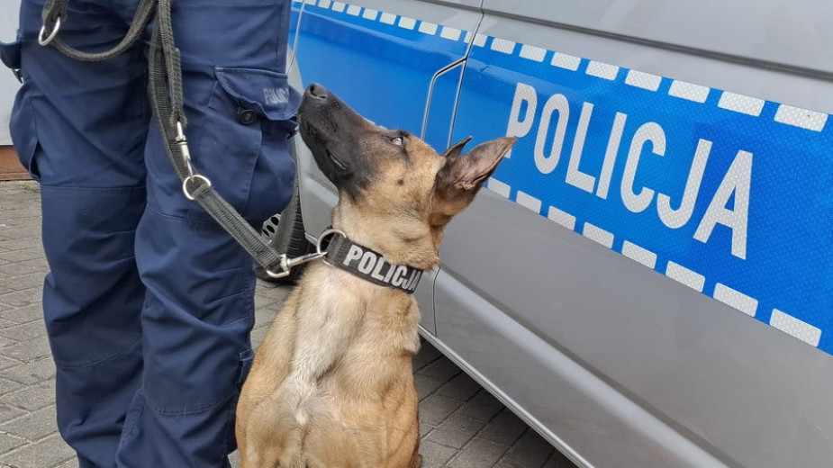 Kierowca Mercedesa zatrzymany przez starogardzkich mundurowych po jeździe wężykiem. Był pod wpływem narkotyków
