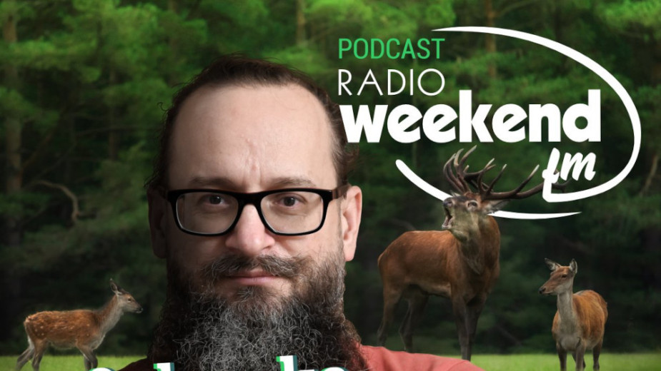 Ogłuszka na skraju lasu. Audycja przyrodnicza w Weekend FM, edycja 2026