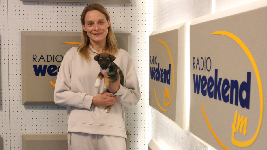 Weekend z pupilem. Odcinek 1. Jak zadbać o komfort i bezpieczeństwo naszych pupili podczas wakacyjnych podróży?