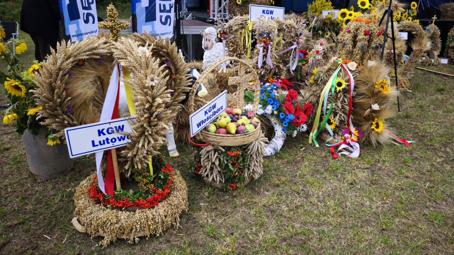 Wczoraj (29.08) w Sępólnie Krajeńskim odbyły się dożynki powiatowo - gminne. "Dziękuję za ten bochen chleba i obiecuję, że będę dzielił go sprawiedliwie" (FOTO)