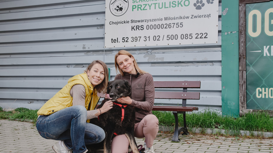 Weekend z pupilem, odcinek 9. Biurokracja z sensem, czyli dlaczego warto zadbać o regularne szczepienia naszego pupila przeciw wściekliźnie