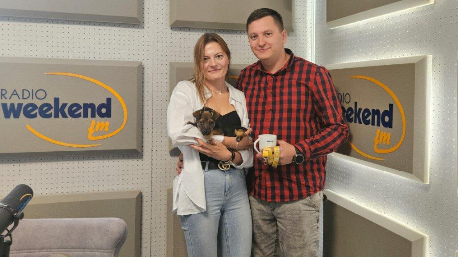 Weekend z Pupilem, odc. 6. Słodki Budyń znalazł kochający dom. Posłuchajcie, jak skradł serca właścicieli i dowiedzcie się, jak zatroszczyć się o szczeniaka w pierwszych dniach wspólnego życia