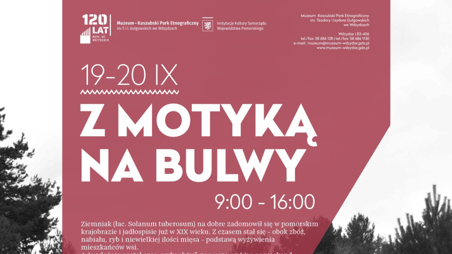 Muzeum we Wdzydzach zaprasza na pełne atrakcji wydarzenie pod nazwą "Z motyką na bulwy"