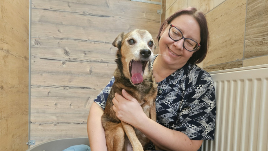 Weekend z Pupilem, odc. 13. Szczęśliwsze może być życie czworonożnego staruszka (FOTO)