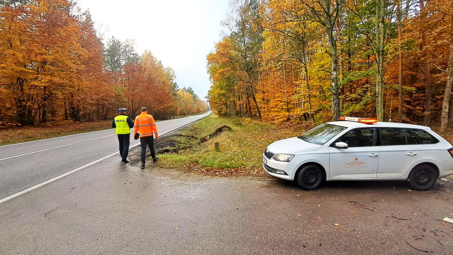 Policjanci i drogowcy sprawdzili miejsce śmiertelnego wypadku na drodze krajowej nr 20 w powiecie kościerskim