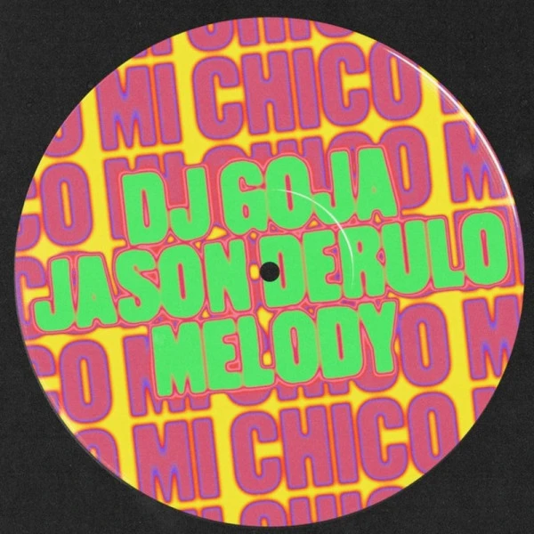 MI CHICO - DJ GOJA X JASON DERULO X MELODY