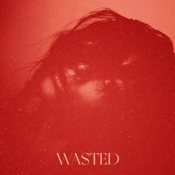 WASTED - NAARLY & MAJOR LEAGUE DJZ