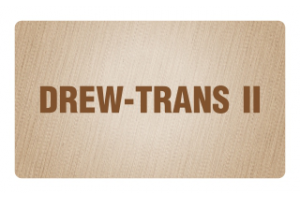 Logo DREW TRANS II