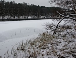 Tuchola: plan ochrony rezerwatu przyrody &bdquo;Dolina rzeki Brdy&rdquo; przyjęty