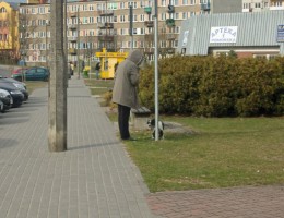 Nie posprzątasz po swoim czworonogu &ndash; zapłacisz