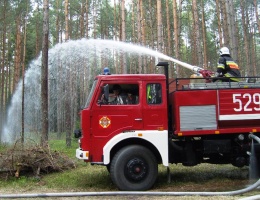Pozorowany pożar lasu koło Śliwic