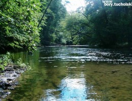 &bdquo;Bory Tucholskie&rdquo; - Rezerwatem Biosfery