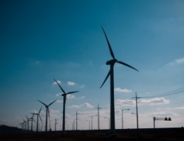 Na terenie gminy Tuchomie stanie blisko 20 elektrowni wiatrowych 