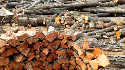 Drewno kominkowe opałowe